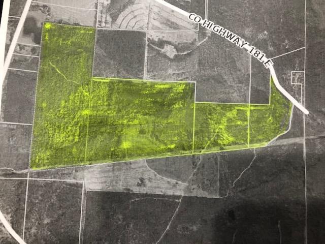 305 AC Co. Hwy. 181E - Photo 1