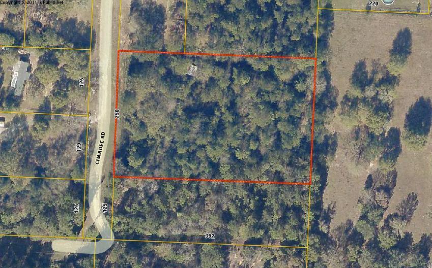 5985 Chardee Road - Photo 1