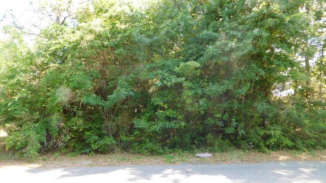 247 Grand Prix Drive - Photo 1