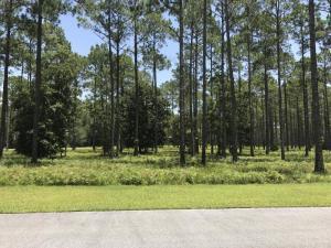 7534 Morning Marsh Trail - Photo 1