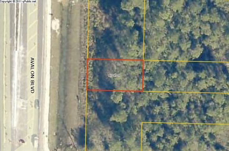 0000 Avalon Boulevard - Photo 1