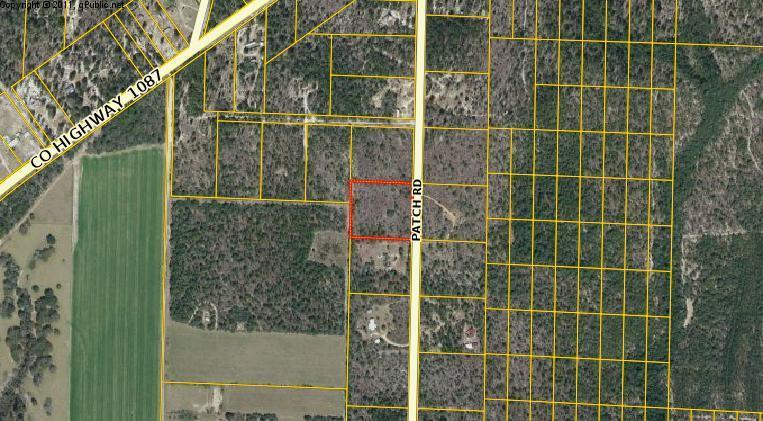 4 Acres Patch Road - Photo 1