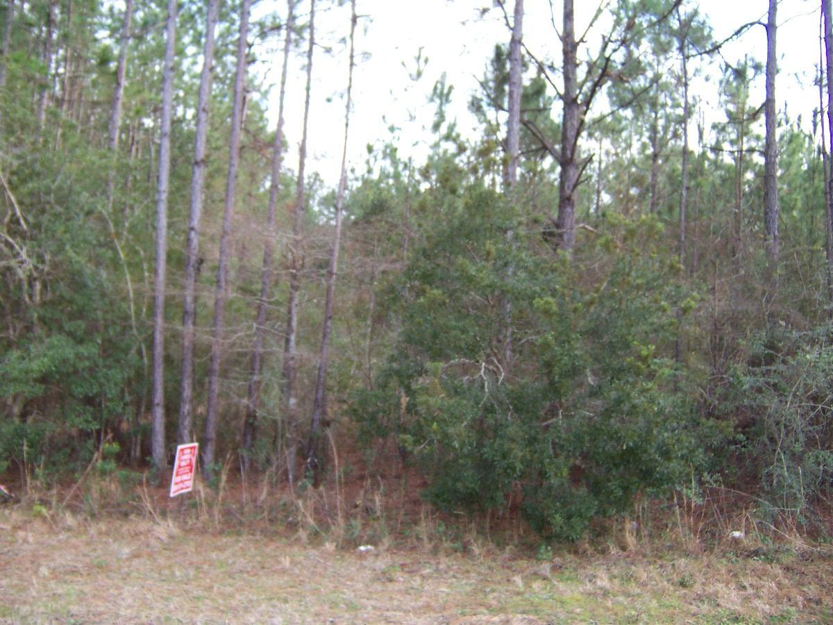 Lot 2 Lake Rosemary Court - Photo 1