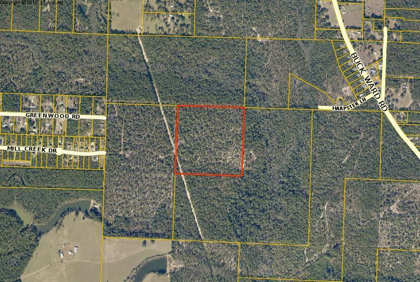 40 Acres - Photo 1