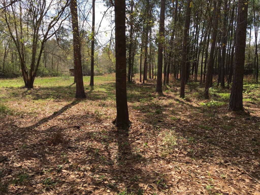 2 Acres Antioch Road - Photo 1
