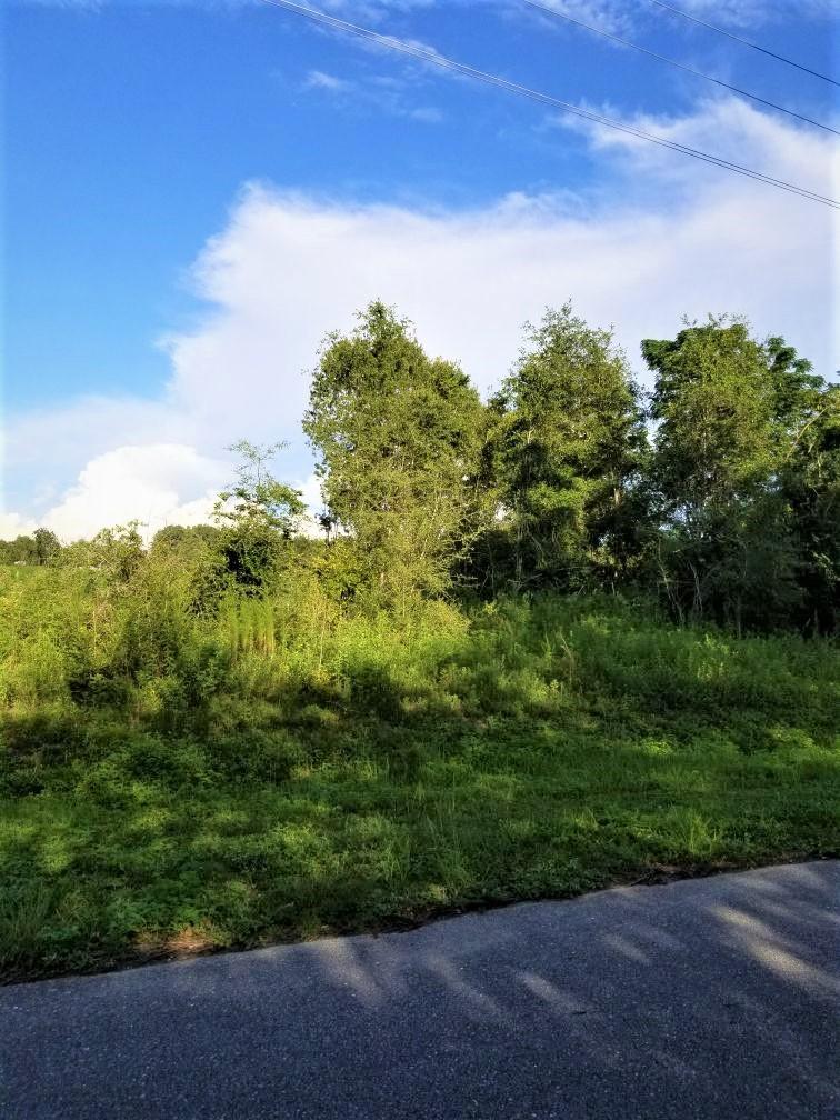 20 Acre Flowersview Blvd - Photo 1