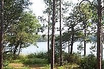 Lot 4 John Sims Parkway - Photo 1