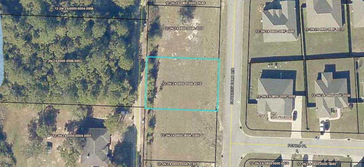 LOT 21 Paradise Palm Circle - Photo 1