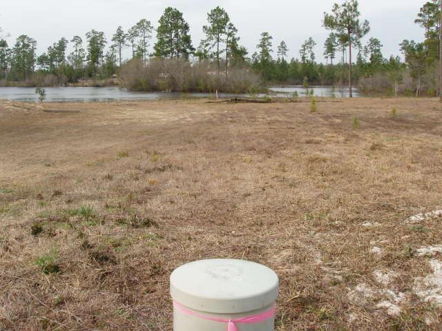 Lot 7 Lake Rosemary Court - Photo 1