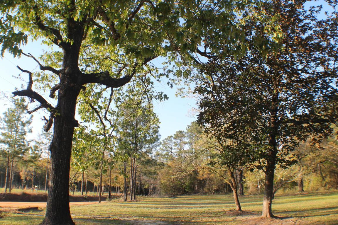 5.75 AC Harper Road - Photo 1