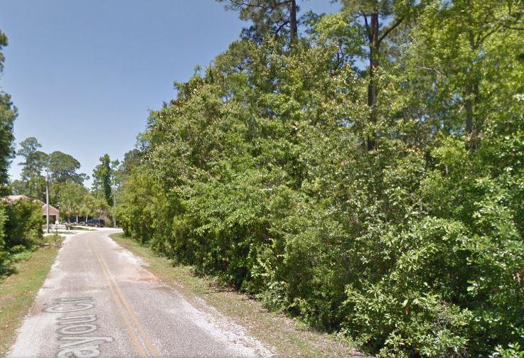 153 Bayou Circle - Photo 1