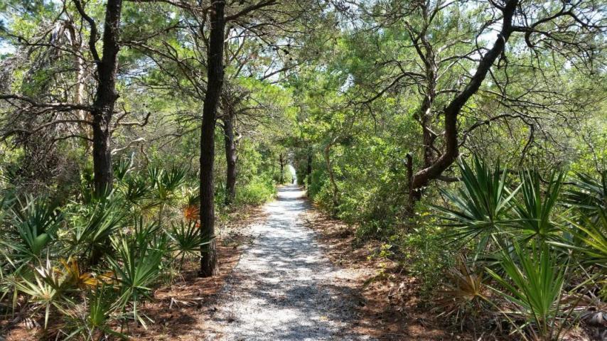 4545 Co Highway 30-A - Photo 1