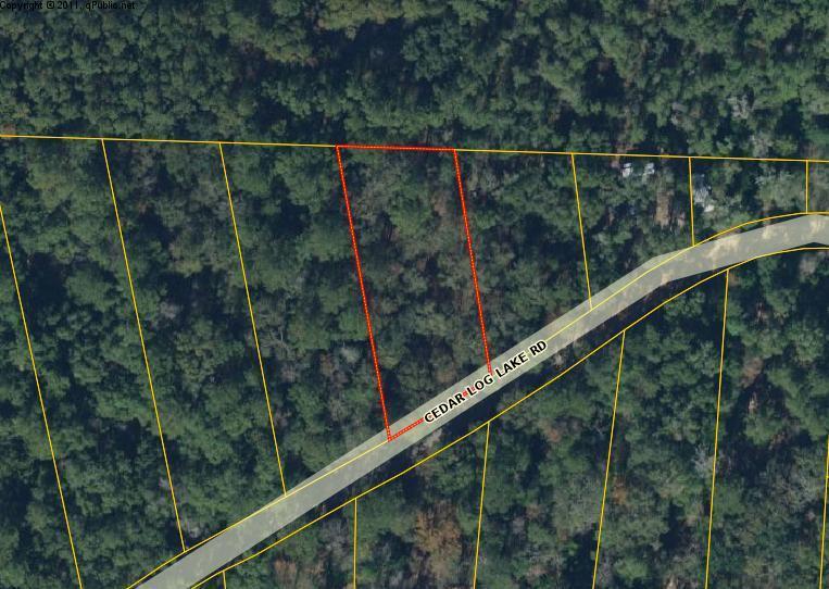 00 Cedar Log Lake Road - Photo 1
