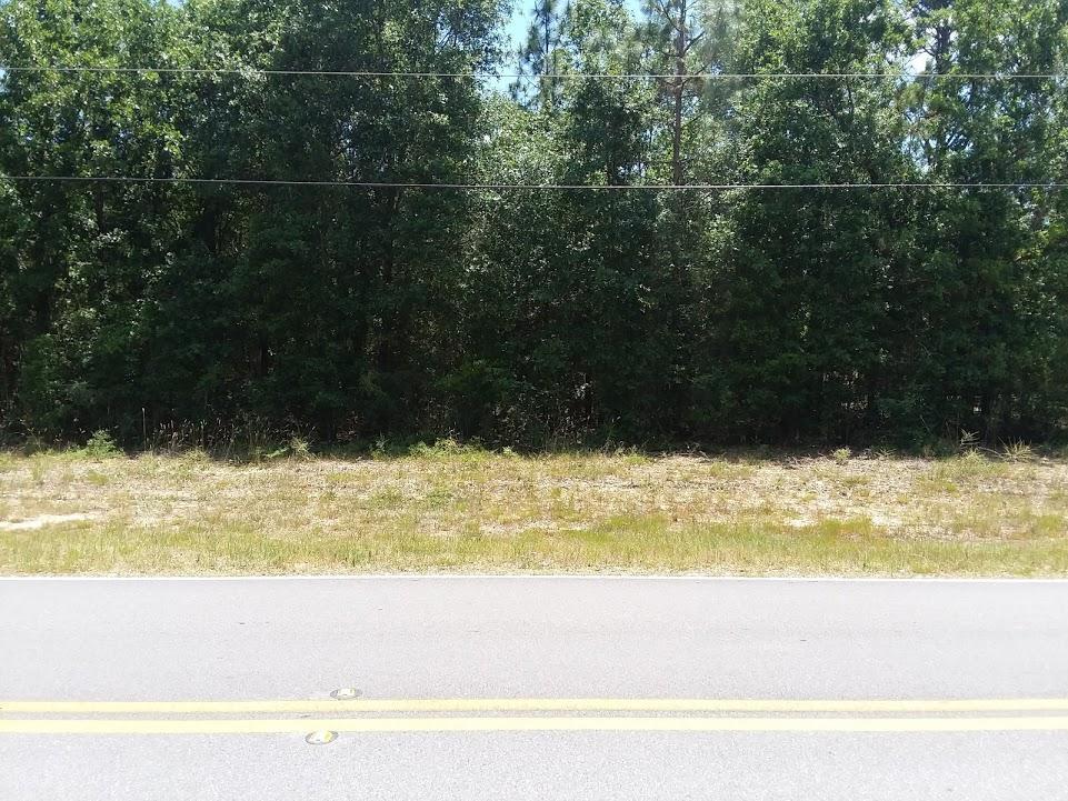 .7 Acres Lake Silver Road - Photo 1