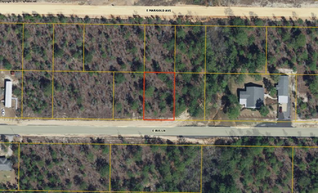 lot 29 Iris Lane - Photo 1