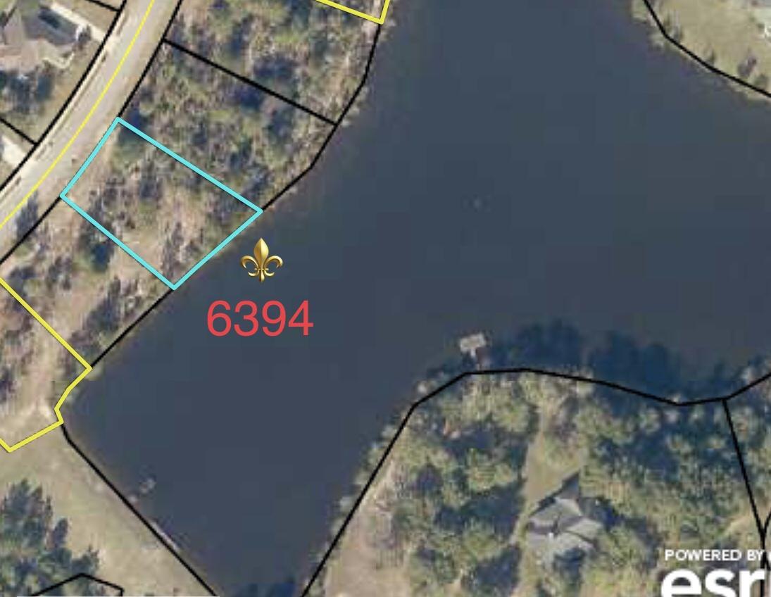 6394 Antigone Circle - Photo 1