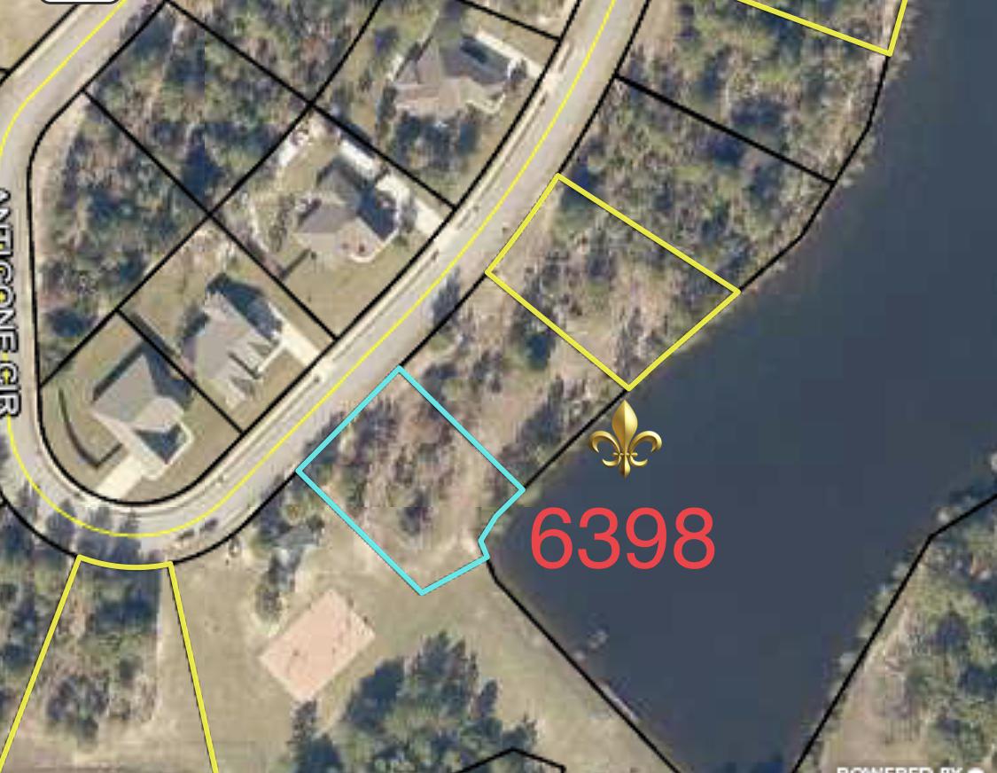 6398 Antigone Circle - Photo 1