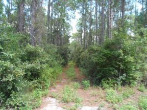 Lot 4 Quail Drive - Photo 1