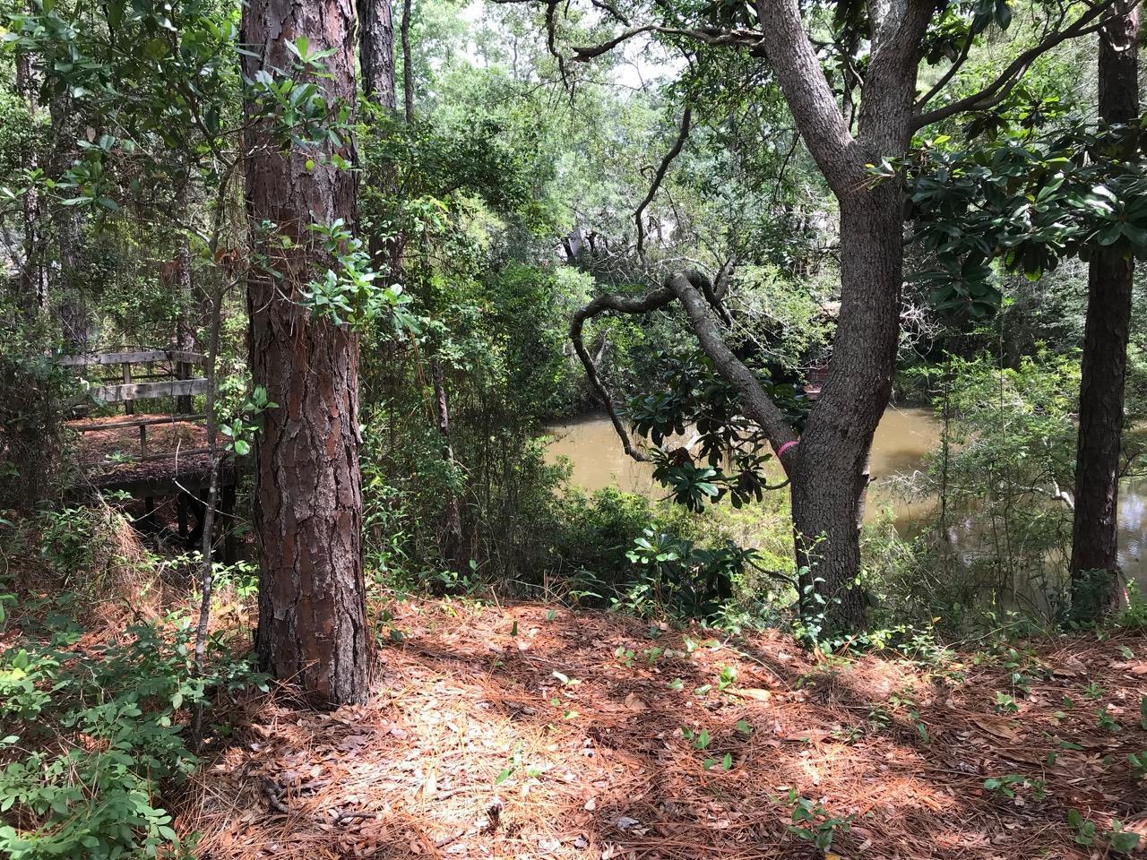 Lot 12 Nancy Claire Lane - Photo 1