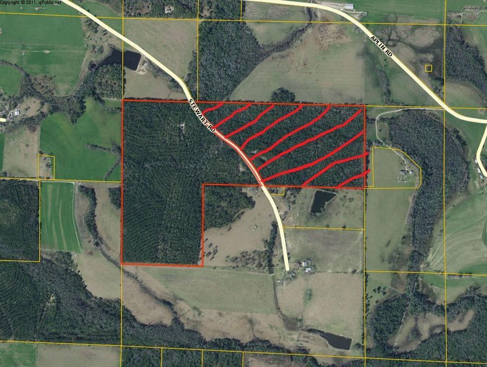 95 Acres Stewart Road - Photo 1