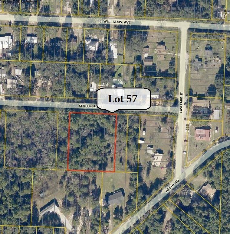 xxx Lot 57 Shoffner Avenue - Photo 1
