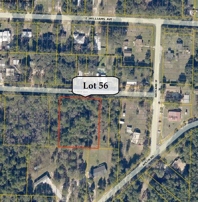 xxx Lot 56 Shoffner Avenue - Photo 1