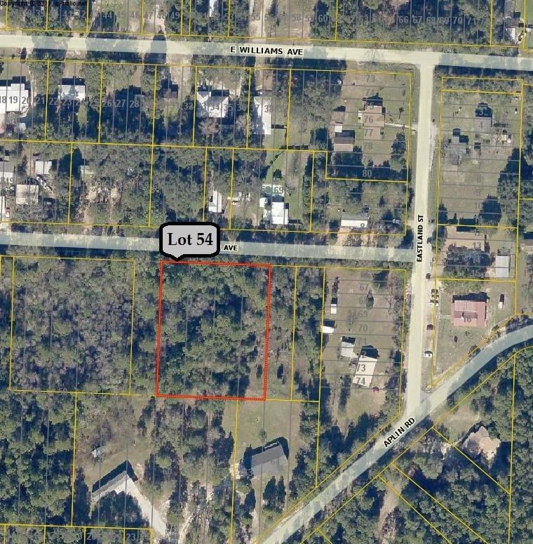 xxx Lot 54 Shoffner Avenue - Photo 1