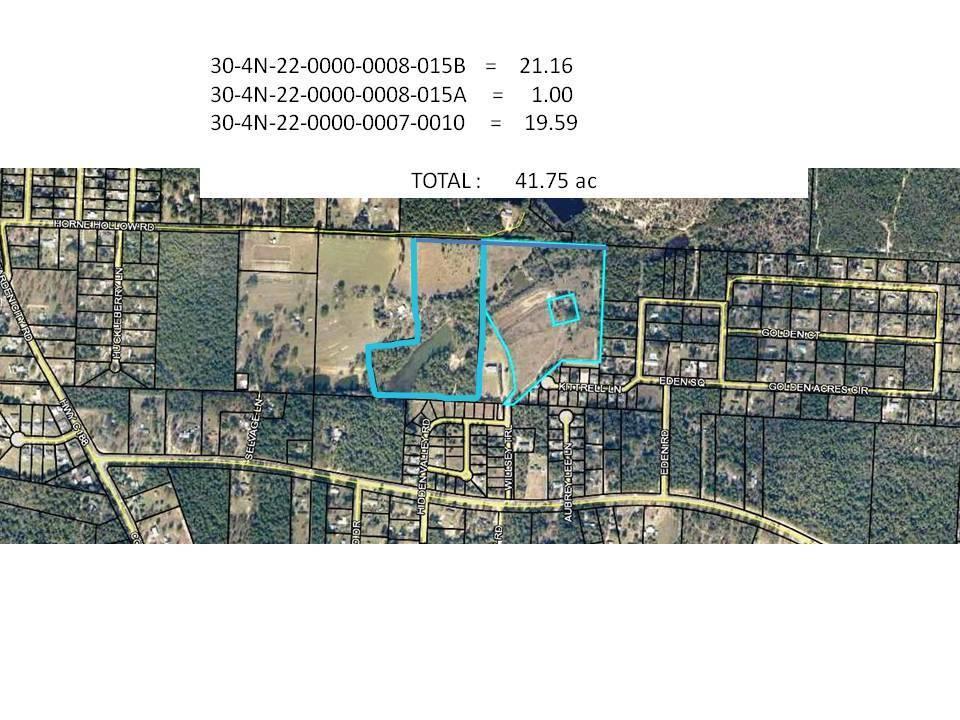41.75 AC Horne Hollow Road - Photo 1