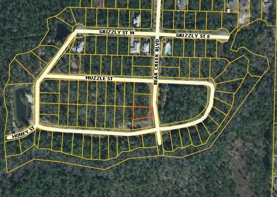 Lot 42 Bear Creek Boulevard - Photo 1