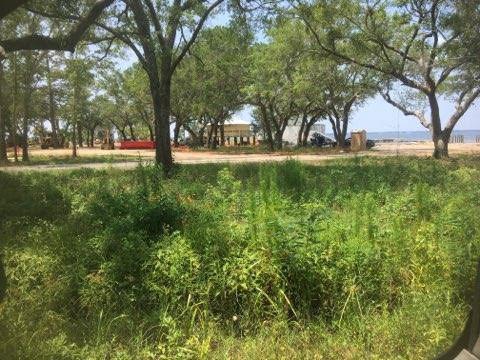 Lot 19 Bay Grove Road - Photo 1
