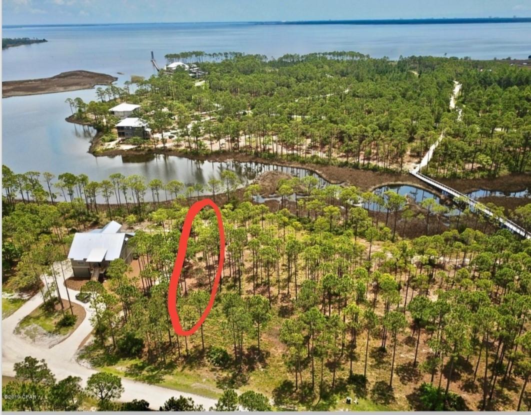 6309 Turkey Cove Lane - Photo 1
