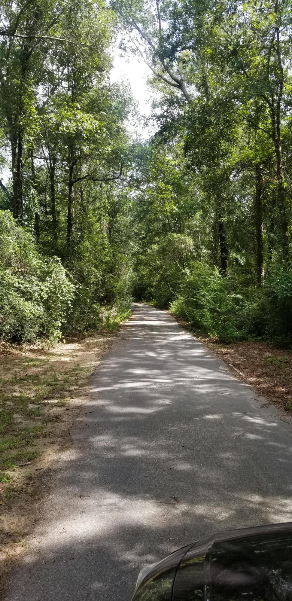 000 Walk Along Way Road - Photo 1
