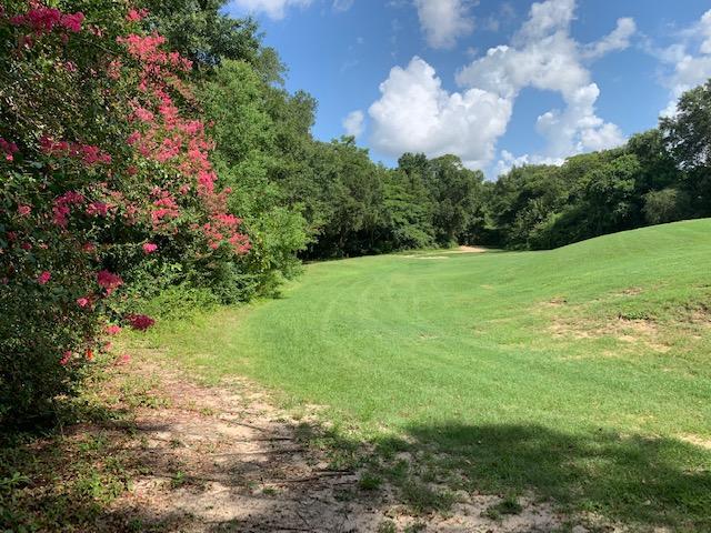 5001 High Pointe Drive - Photo 1