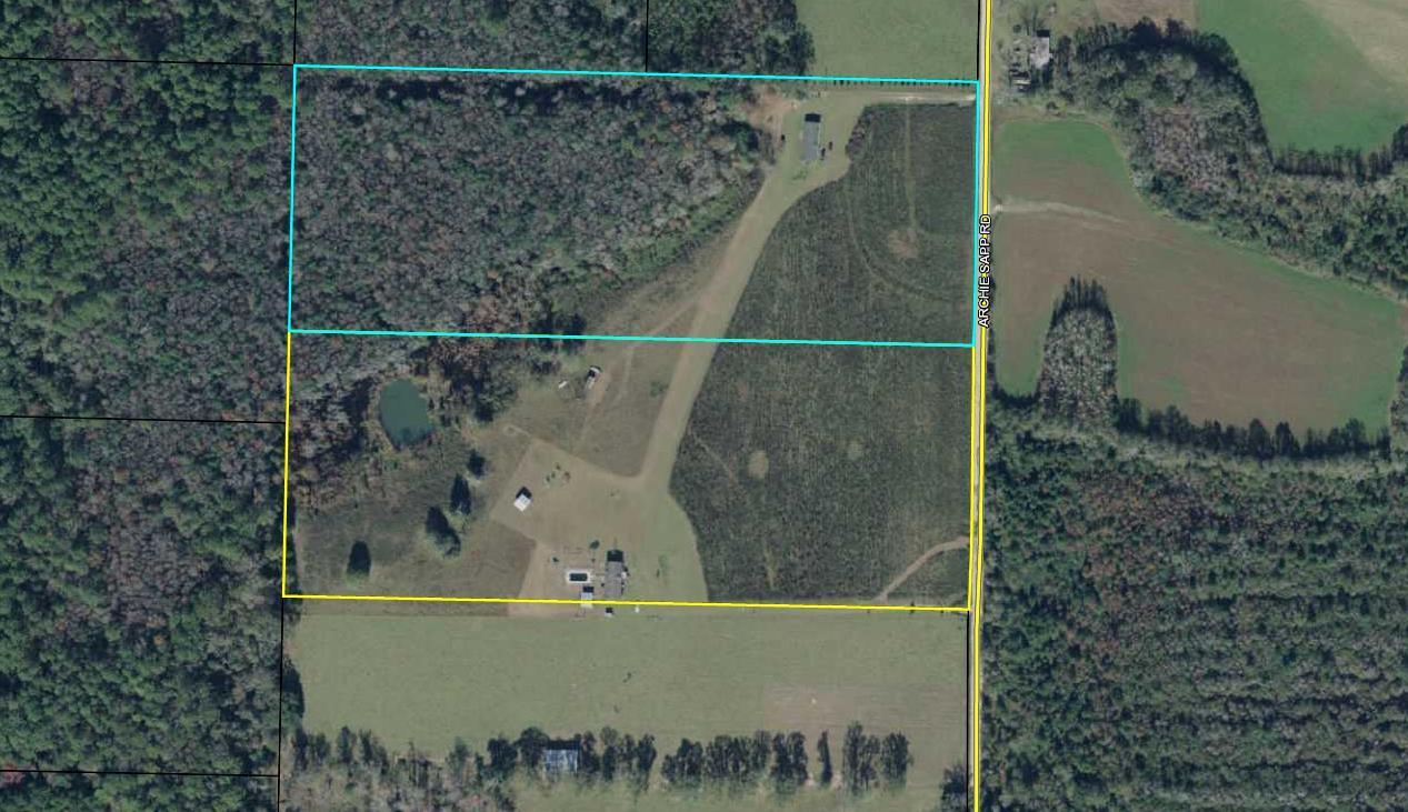 2120 Archie Sapp Road - Photo 1