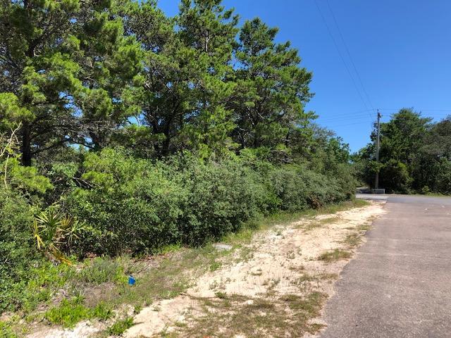 TBD-E Rolling Dunes Drive - Photo 1
