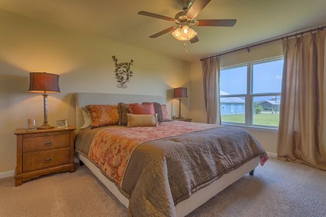 935 Merganser Way - Photo 1