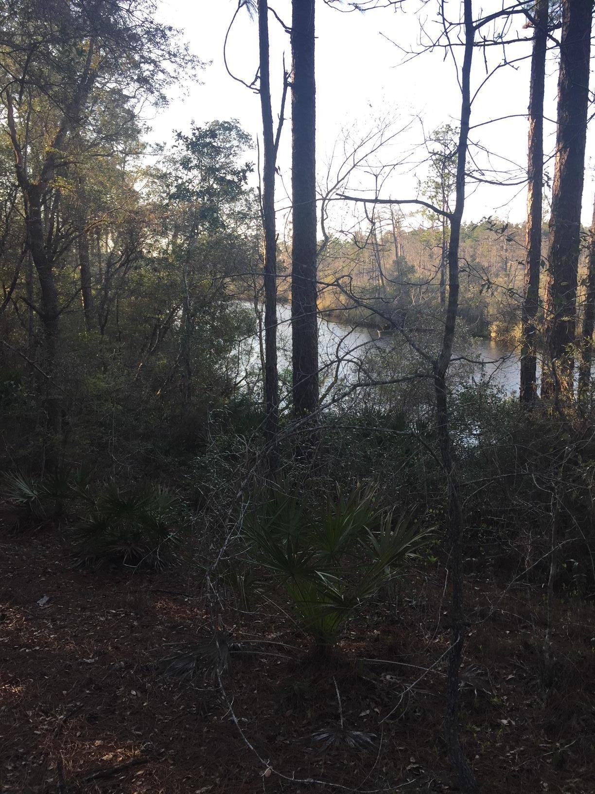 100 acres Black Creek Rd - Photo 1
