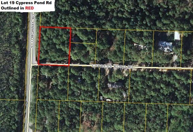 Lot 19 Cypress Pond Road - Photo 1