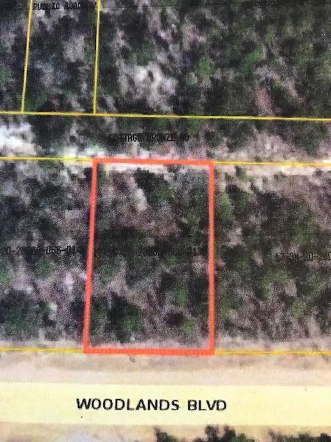 LOT 13 Woodlands Boulevard - Photo 1