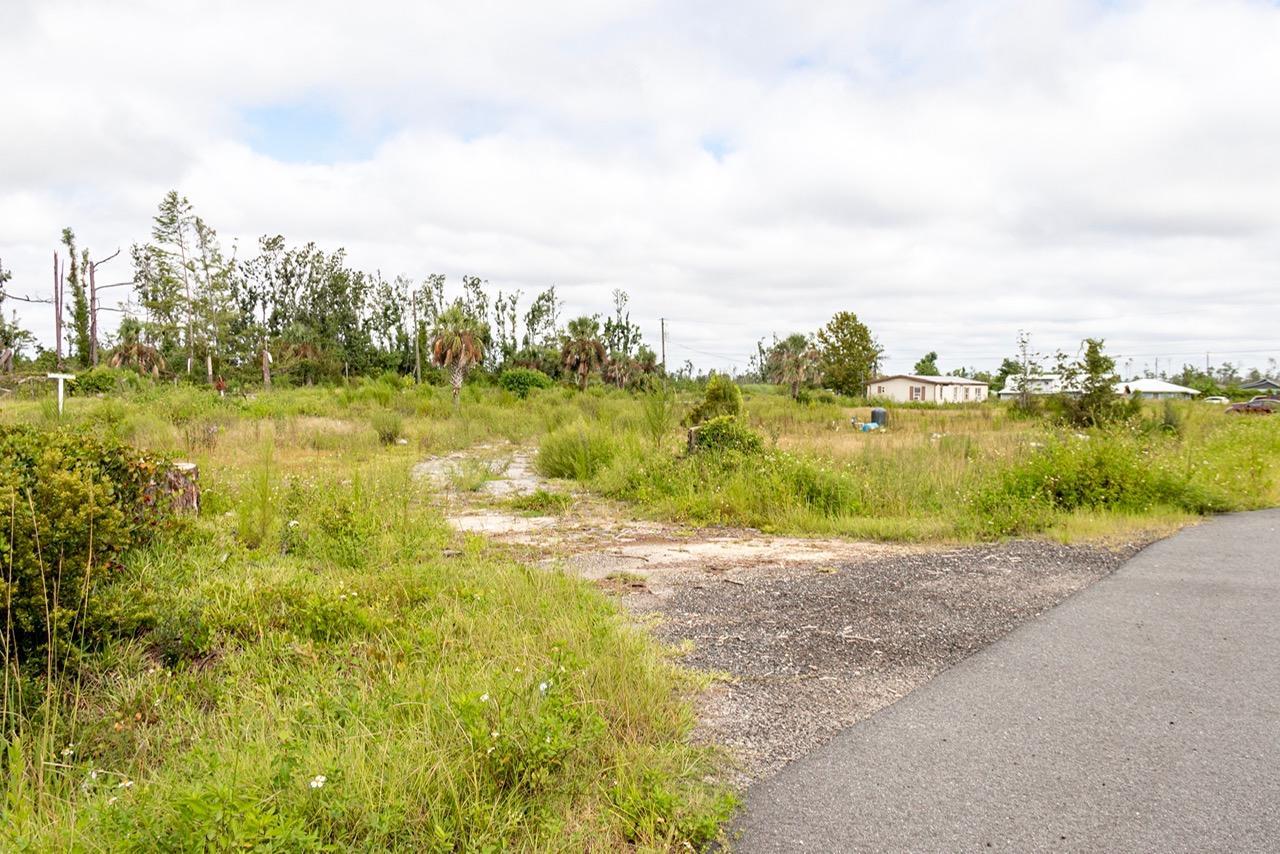 5229/5239 Bertha Nelson Road - Photo 1