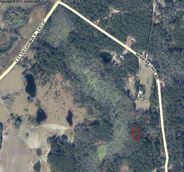 0 Berrian Lake Road - Photo 1 0 Berrian Lake Road - Photo 1