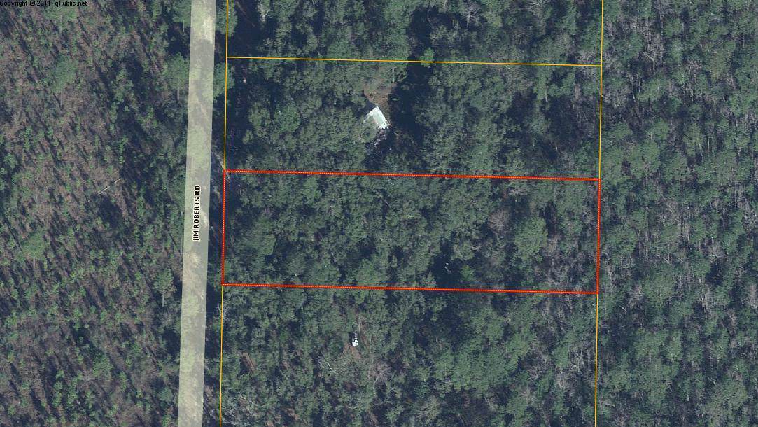 .76 AC Lot Jim Roberts Road - Photo 1