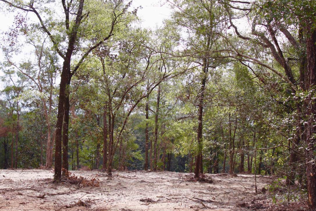 1AC Lot E9 Wildwood Lakes Drive - Photo 1