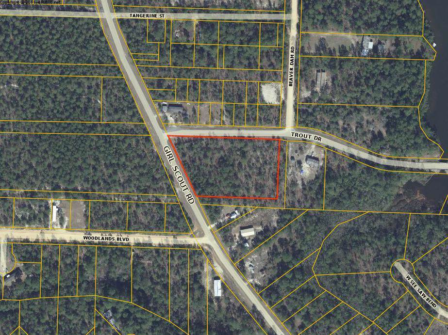 1234 Girl Scout Road - Photo 1