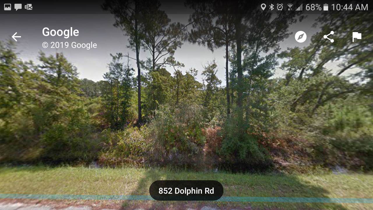 852 Dolphin Road - Photo 1