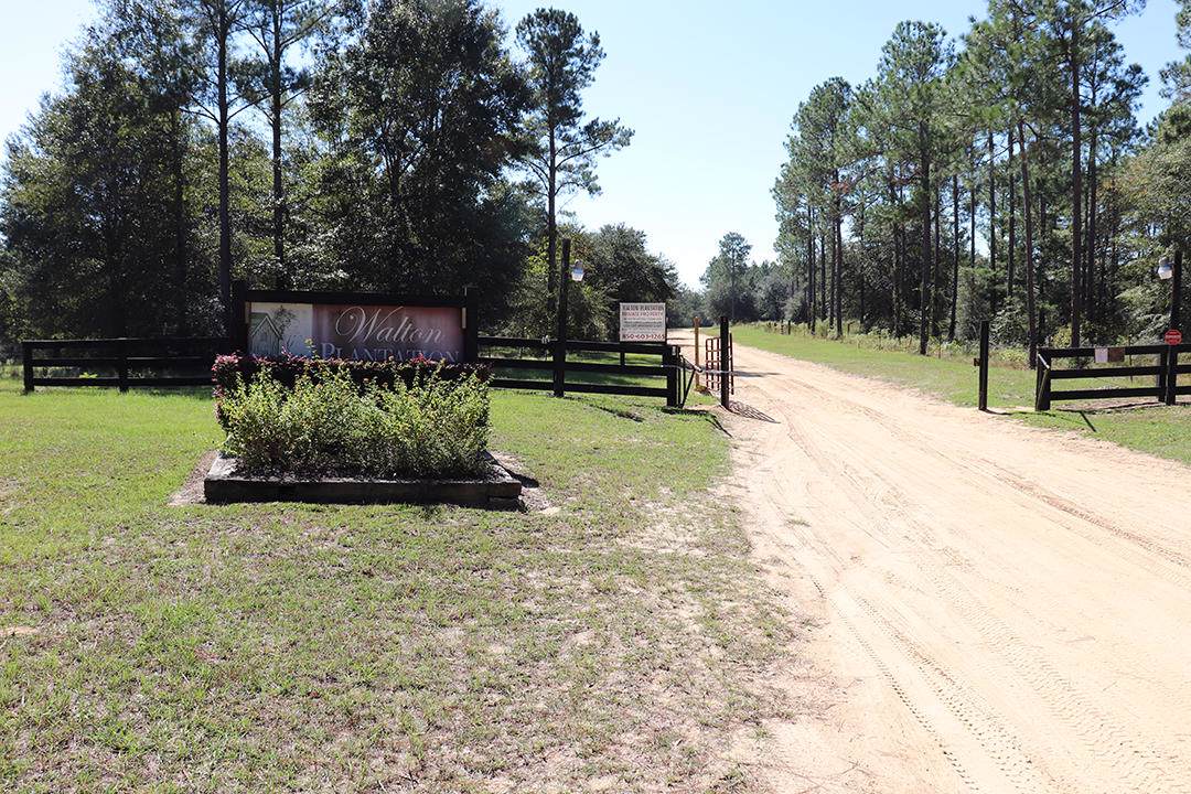 PARCEL J-1 Southern Comfort Way - Photo 1