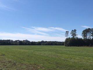 10 AC - D Griffith Mill Road - Photo 1