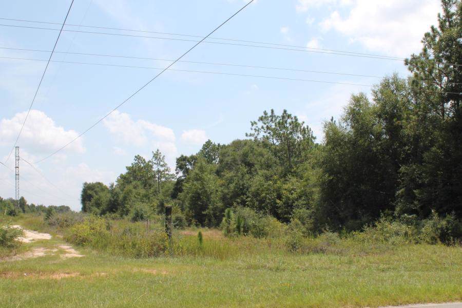 10.79 AC Wilkerson Bluff Road - Photo 1