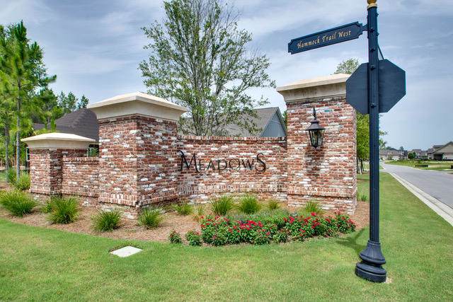 lot 2 Meadow Lake Drive - Photo 1