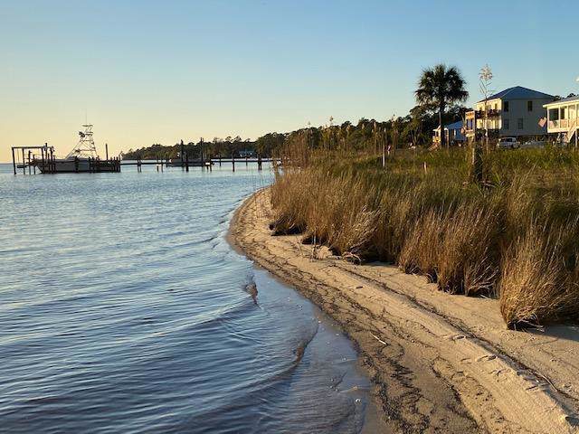 TBD Beatrice Point Road - Photo 1
